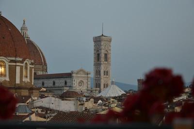 سوگیورنو روبینو فیرنزه