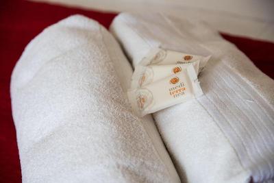 بی بی پردایس