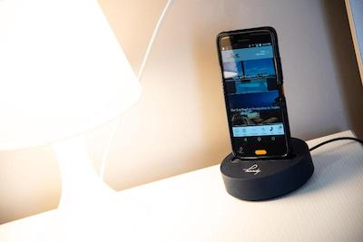 بی بی پردایس