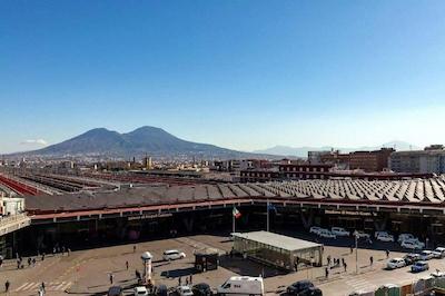 بی بی پردایس