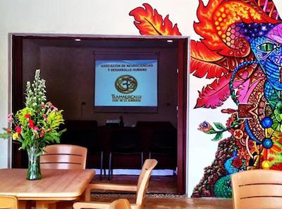 هاستال دلا لوز