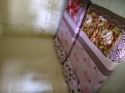 پنگیناپان رورو مندوت