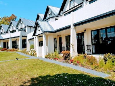 د سالتی داگ این