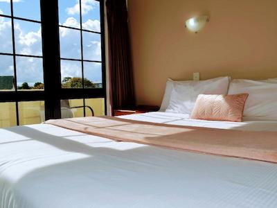 د سالتی داگ این