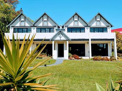 د سالتی داگ این