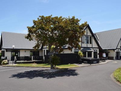 د سالتی داگ این