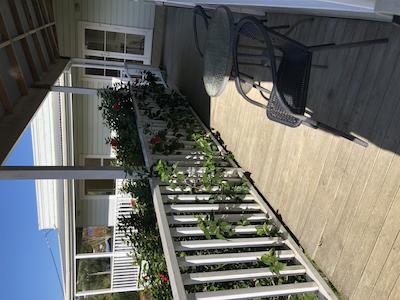 وایهکه آیلند متل