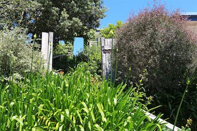 وایهکه آیلند متل