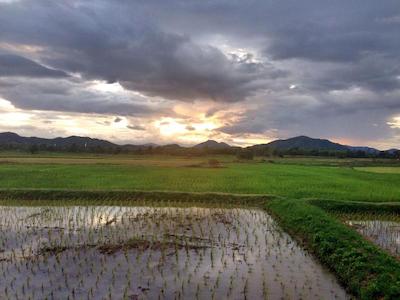 له بار تاری هتل