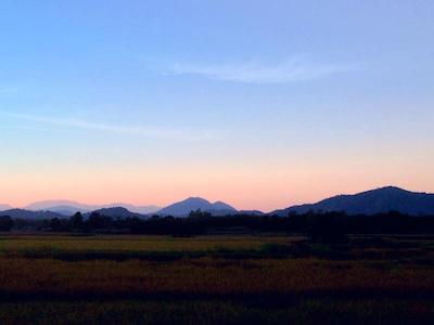 له بار تاری هتل