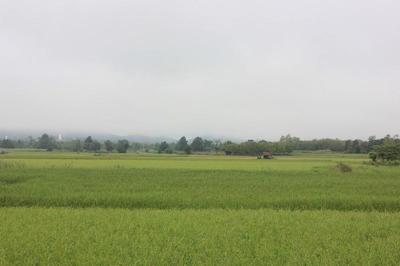 له بار تاری هتل