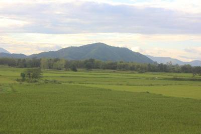 له بار تاری هتل