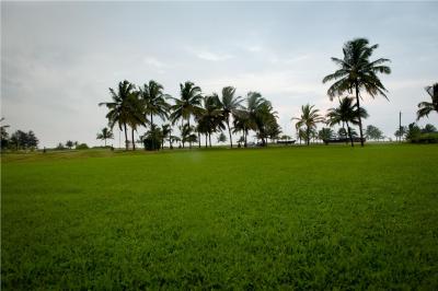 هالیدی این ریزورت گوا