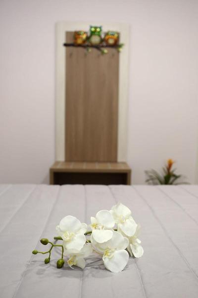 ویلا ماگیولا