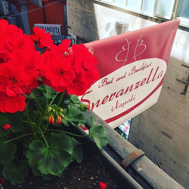 بی بی اسپرانزلا