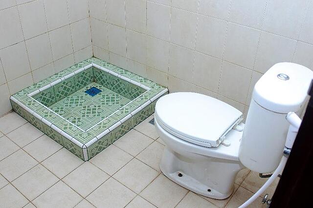 او وای او 859 رافلز سیتی هتل