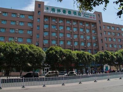 گرین تری این یورومکی کیمینگ یوئان بیزنس برانچ