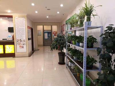 گرین تری این یورومکی کیمینگ یوئان بیزنس برانچ