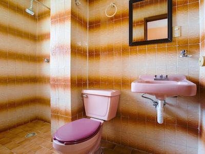 او وای او هتل ماریا ترزا این