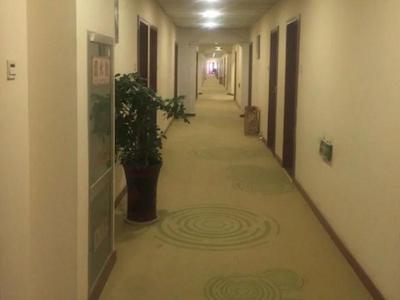 گرین تری آلیانس جینینگ کیوفو باس استیشن هتل