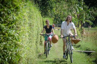 یابیکایو اکو بونگالوز