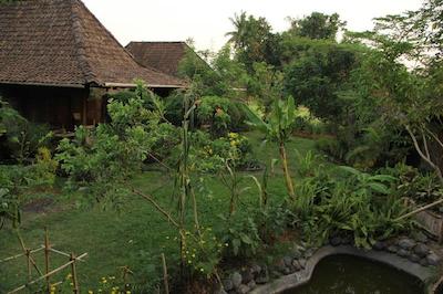 یابیکایو اکو بونگالوز