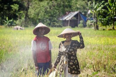 یابیکایو اکو بونگالوز