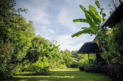 یابیکایو اکو بونگالوز