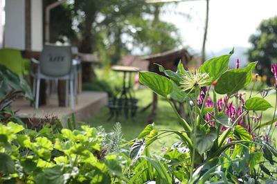 بولوارد این ام تی مرو