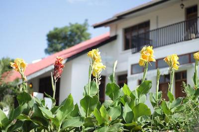 بولوارد این ام تی مرو