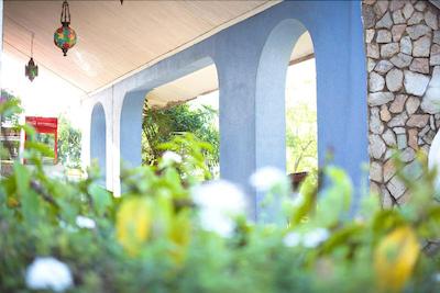 بولوارد این ام تی مرو