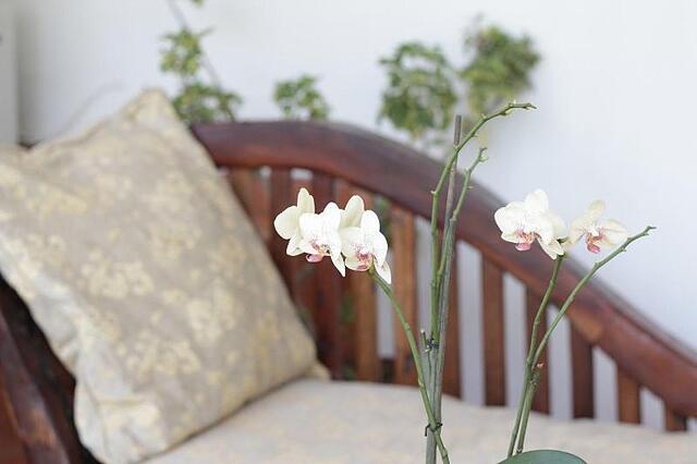 بولوارد این ام تی مرو