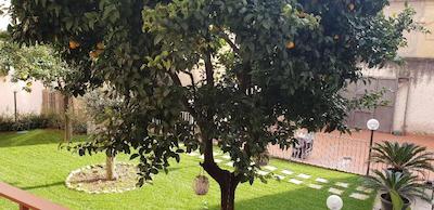 ای دو پاسی دال موسئو