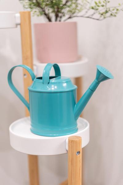 بی بی دوریا