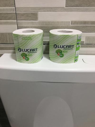 بی بی ویوا تاپولی