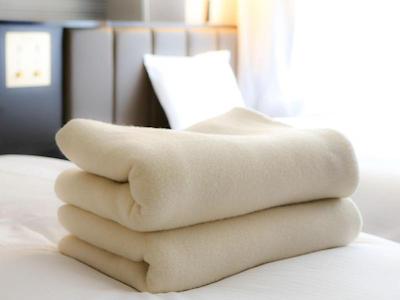 آپا هتل شیناگاوا سنگاکوجی ایکی