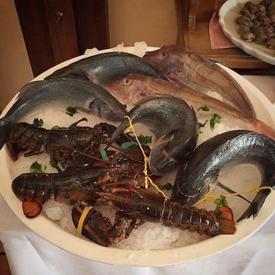 هتل مدیترانئو