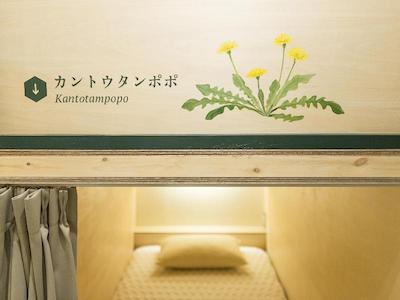 گست هاوس دنچی