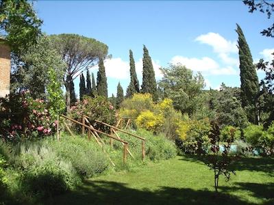 ال گیاردینو دلگی اتروسچی