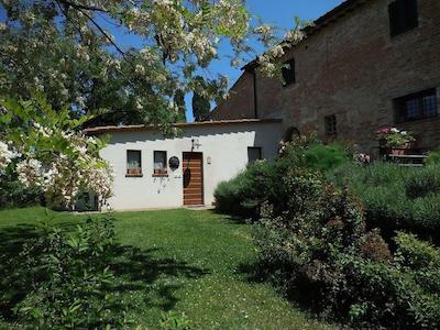 ال گیاردینو دلگی اتروسچی