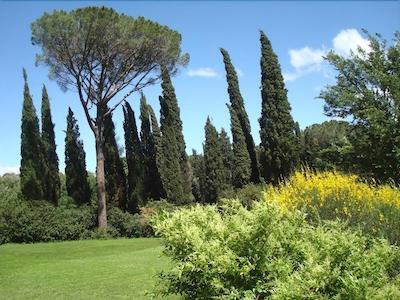 ال گیاردینو دلگی اتروسچی