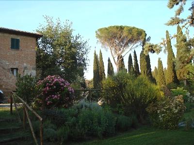 ال گیاردینو دلگی اتروسچی