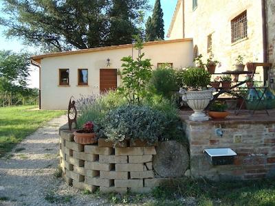 ال گیاردینو دلگی اتروسچی