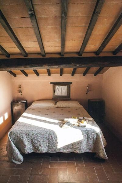 ال گیاردینو دلگی اتروسچی