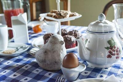 ال گیاردینو دلگی اتروسچی