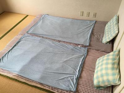 پالت تاکاشی مادایرا گست هاوس