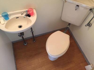 پالت تاکاشی مادایرا گست هاوس