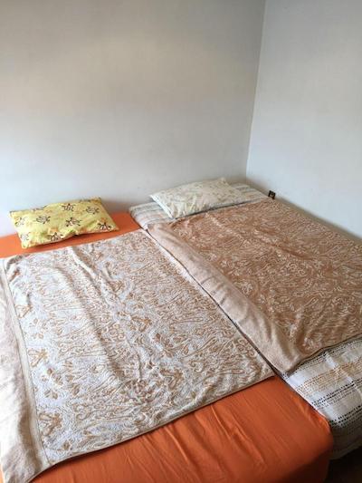 پالت تاکاشی مادایرا گست هاوس