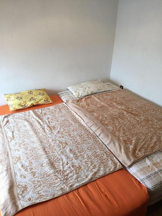 پالت تاکاشی مادایرا گست هاوس