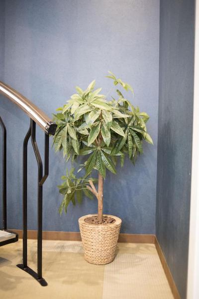 توکیو گست هاوس ایتاباشی جوکو